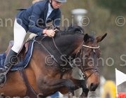 Johansen Lady Catalina TosTour 2013- S4 6572 : Arezzo Equestrian Centre, Johansen Ida, LADY CATALINA, Toscana Tour 2013, foto di Stefano Secchi ©